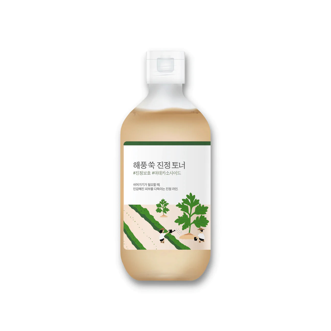 Round Lab Mugwort Calming Toner – Olive Kollection