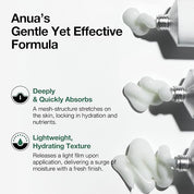 Anua Heartleaf Centella Red Spot Cream - Olive Kollection