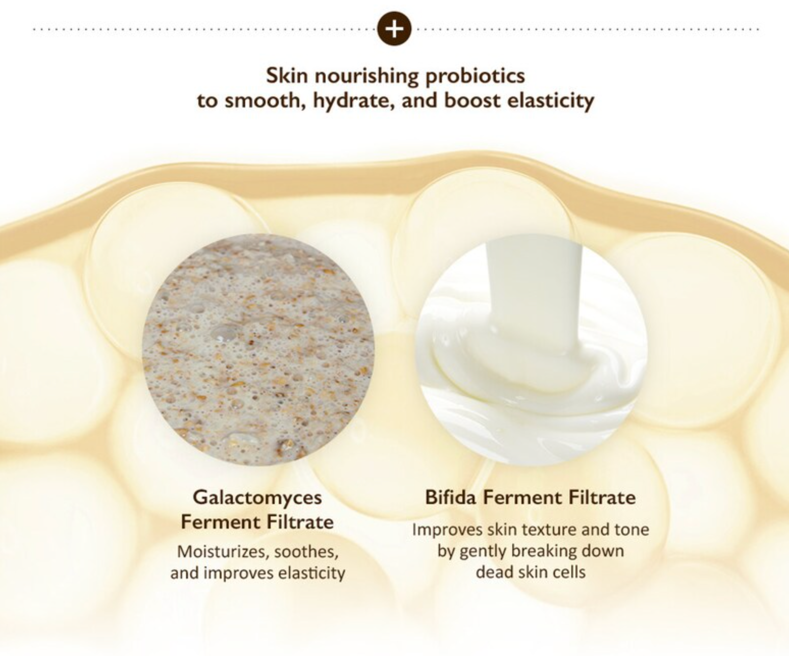 Haruharu Black Rice Probiotics Barrier Essence - Olive Kollection