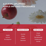 MOEV Annurcatin Treatment - Olive Kollection
