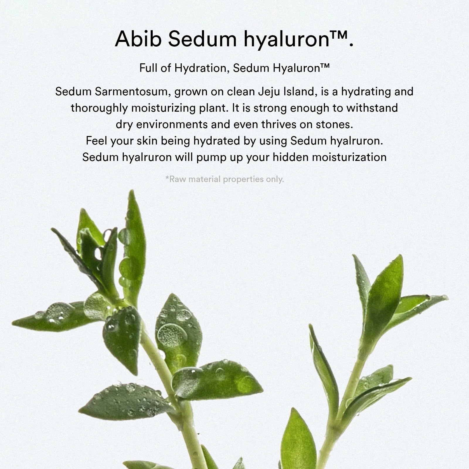 Abib Sedum Hyaluron Crème Hydrating pot - Olive Kollection