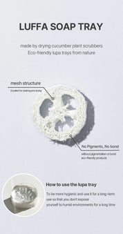 Seed Bee Dew Soap - Olive Kollection