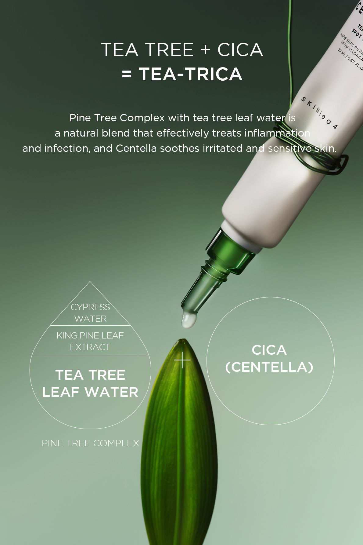 Skin 1004 Madagascar Centella Tea-Trica Spot Cream - Olive Kollection
