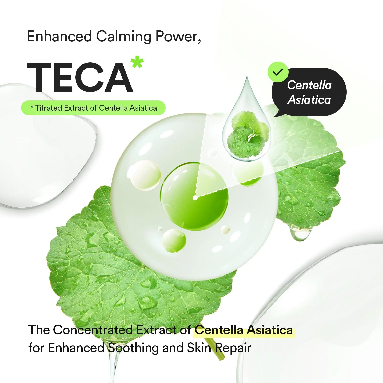 Abib Heartleaf TECA Capsule Serum Calming Drop - Olive Kollection