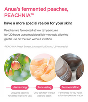 Anua Peach 77 Niacin Essence Toner - Olive Kollection