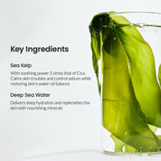 Biodance Refreshing Sea Kelp Real Deep Mask Sheet - Olive Kollection