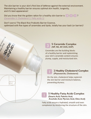 Haruharu Black Rice Probiotics Barrier Essence - Olive Kollection