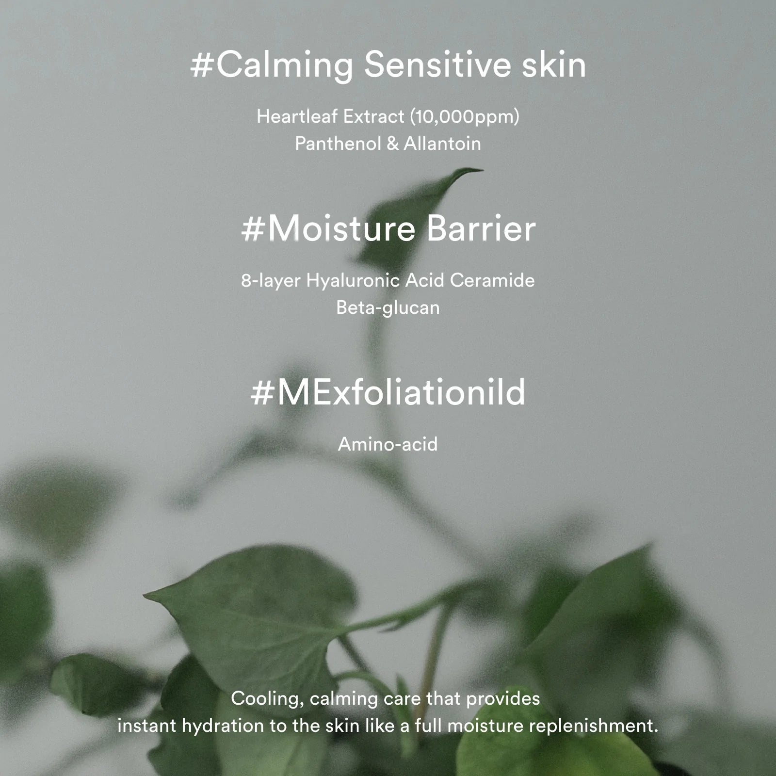 Abib Heartleaf Creme Calming Tube 75ml - Olive Kollection