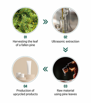 Round Lab Pine Calming Cica Cream - Olive Kollection