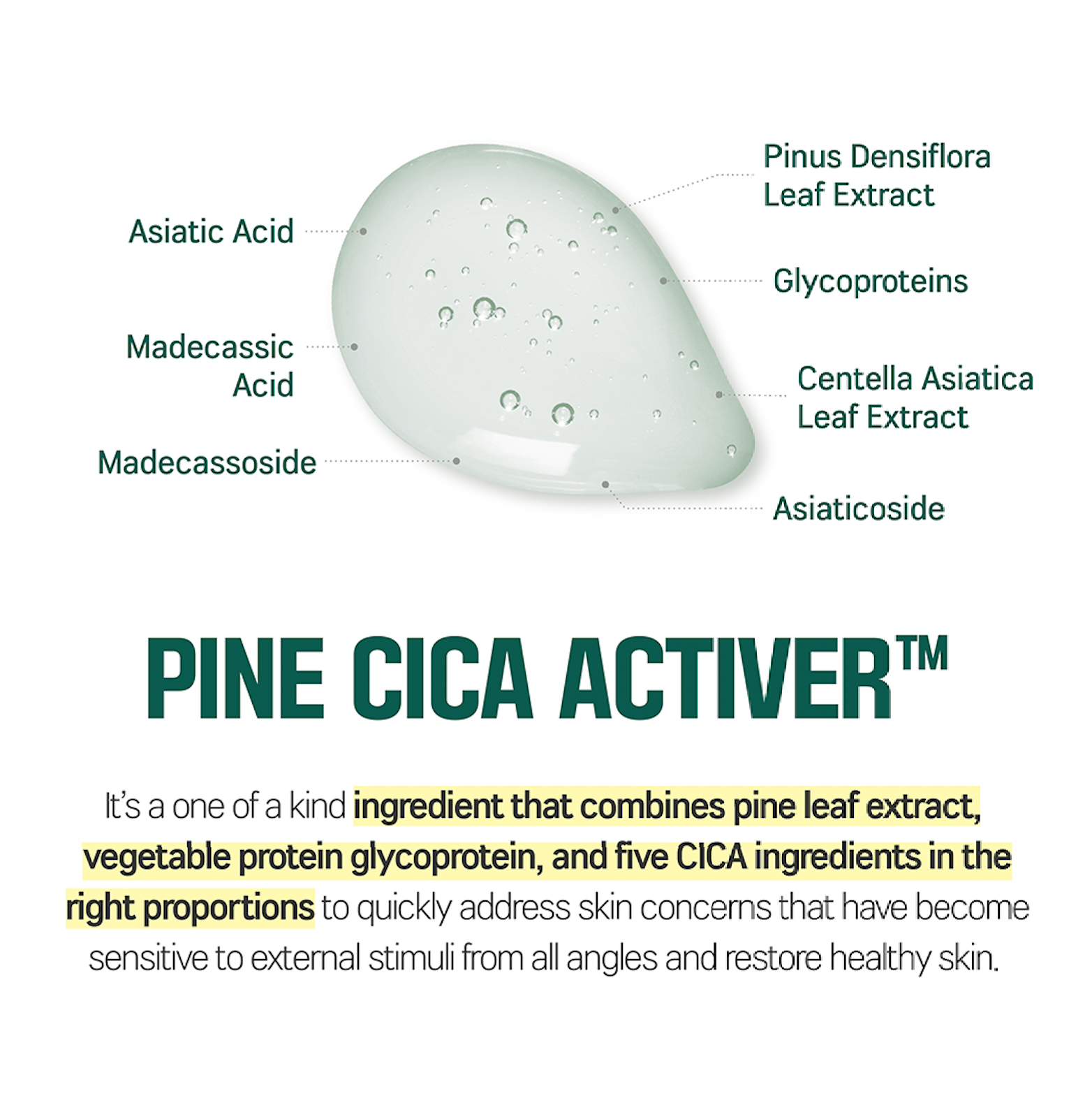 Round Lab Pine Calming Cica Cream - Olive Kollection