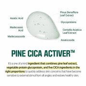 Round Lab Pine Calming Cica Cream - Olive Kollection