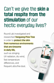 Round Lab Pine Calming Cica Cream - Olive Kollection