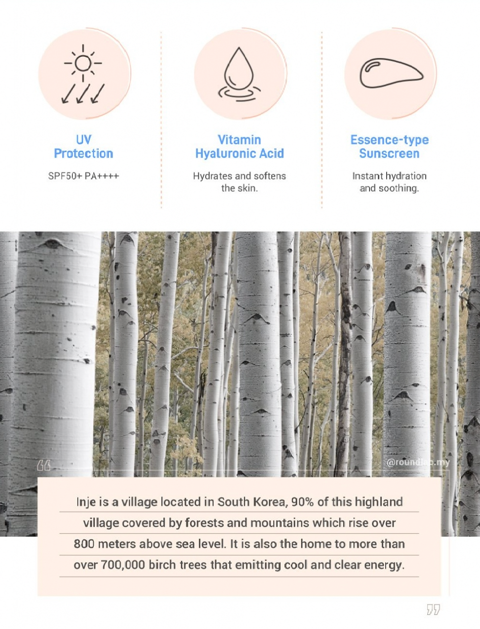 Round Lab Birch Juice Moisturizing Sun Cream 50ml - Olive Kollection