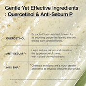 Anua Heartleaf Quercetinol Pore Deep Cleansing Foam - Olive Kollection