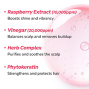 A'PIEU Raspberry Hair Vinegar vs Mist – rinse-out 200ml conditioner vs Raspberry Vinegar Hair Mist 105ml leave-in spray K-beauty routine