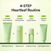 Abib Heartleaf Calming Trial Kit Travel-friendly Essential Set