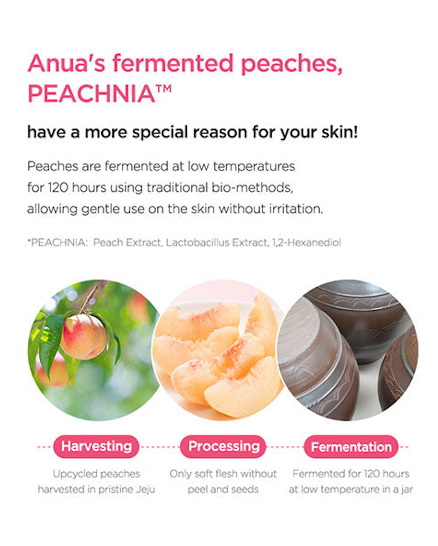 Anua Peach 77 Niacin Enriched Cream - Olive Kollection