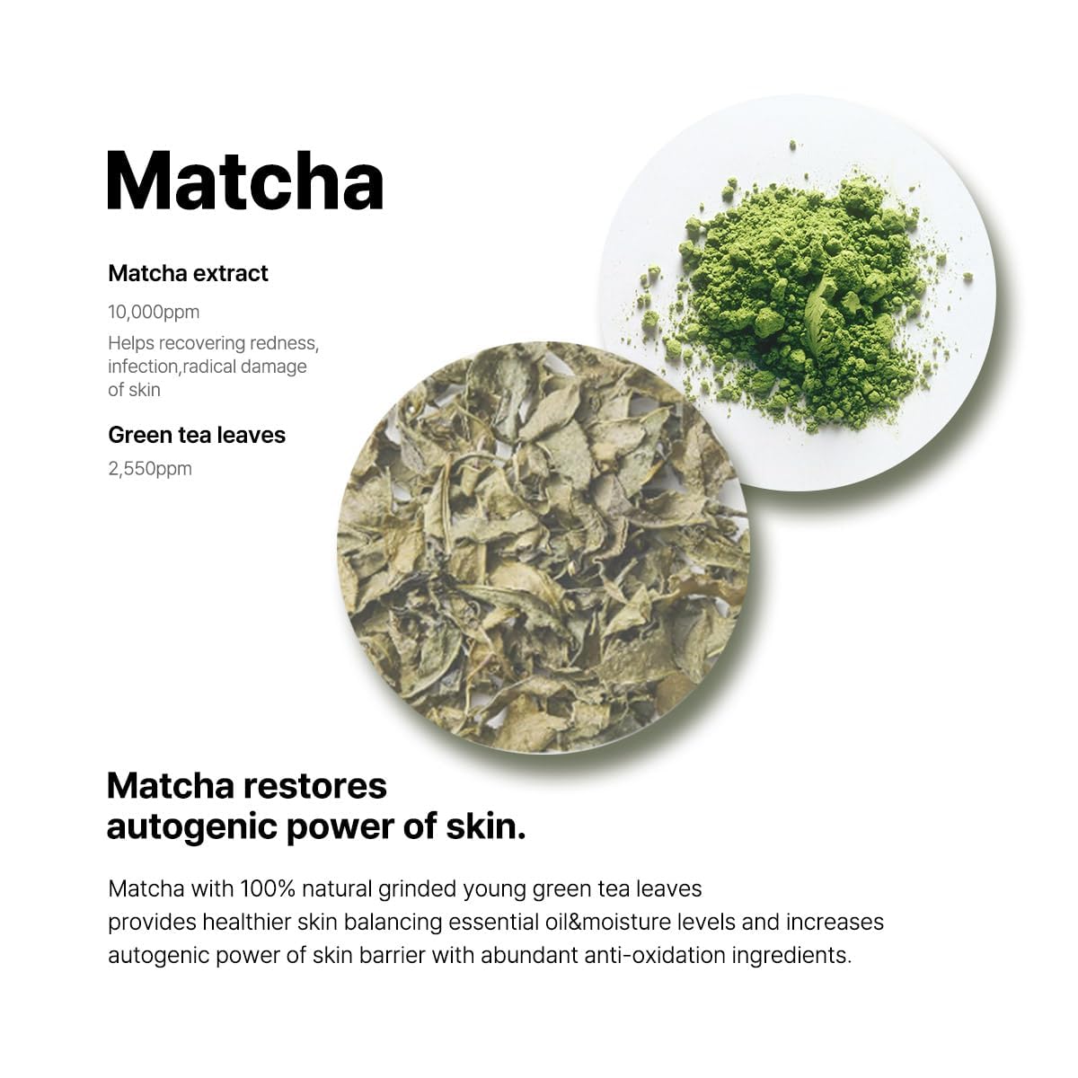B LAB Matcha Hydrating Foam Cleanser - Olive Kollection