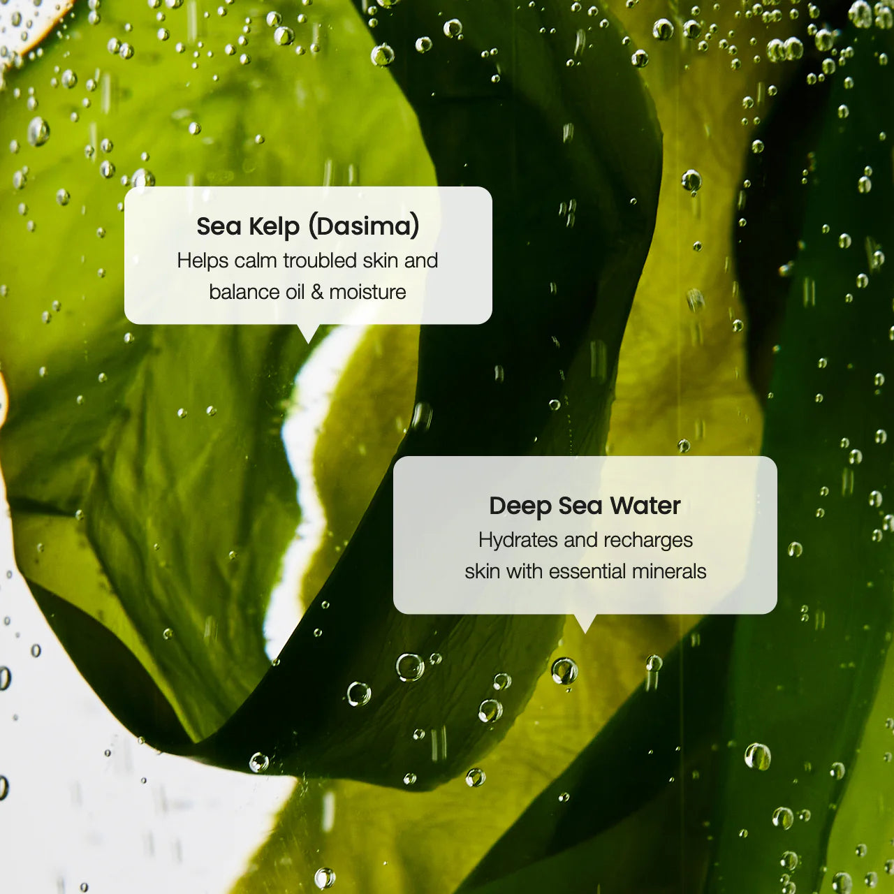 Biodance Refreshing Sea Kelp Serum