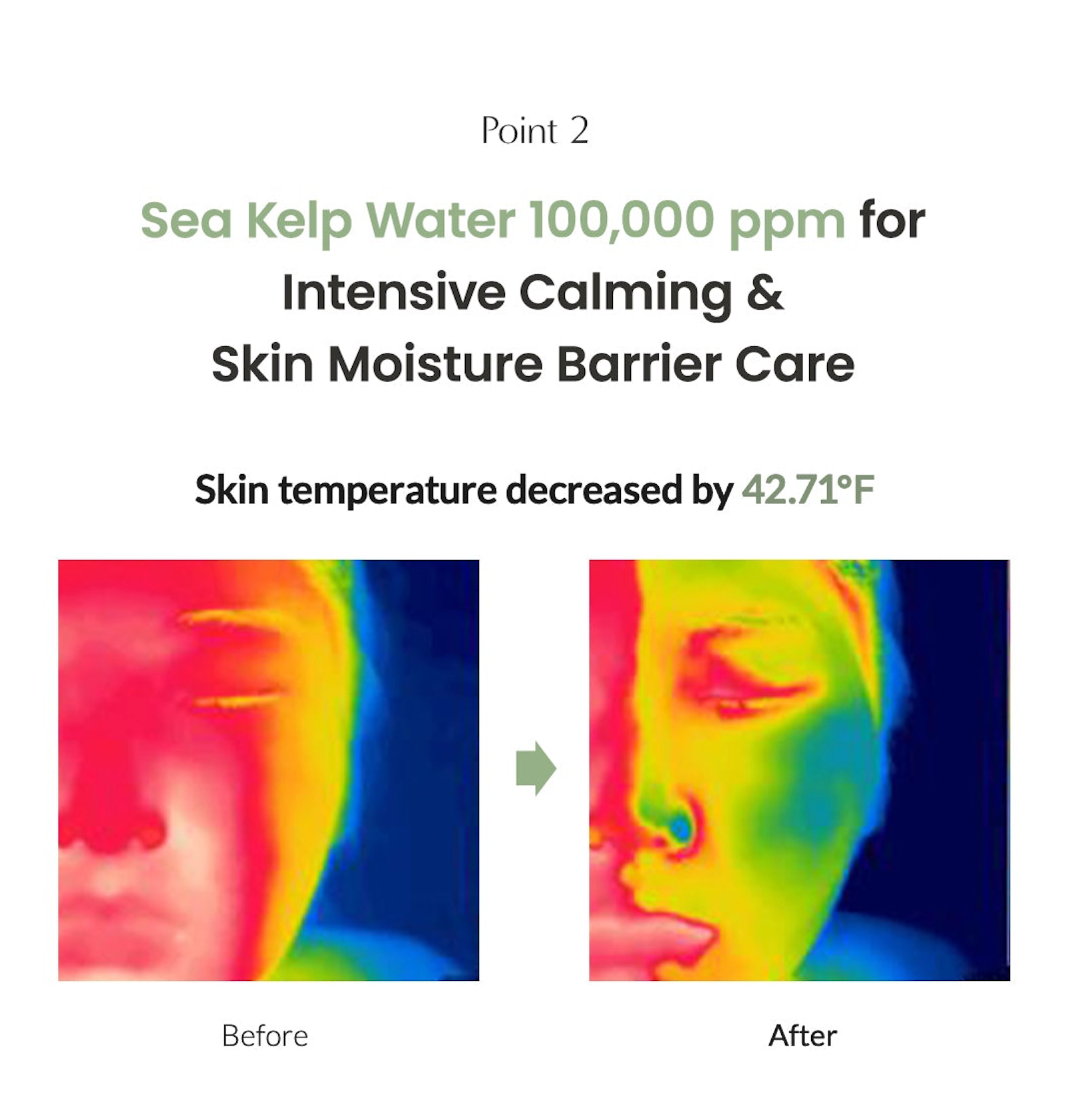 Biodance Sea Kelp Gel Toner Pads