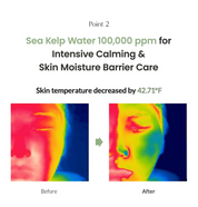 Biodance Sea Kelp Gel Toner Pads