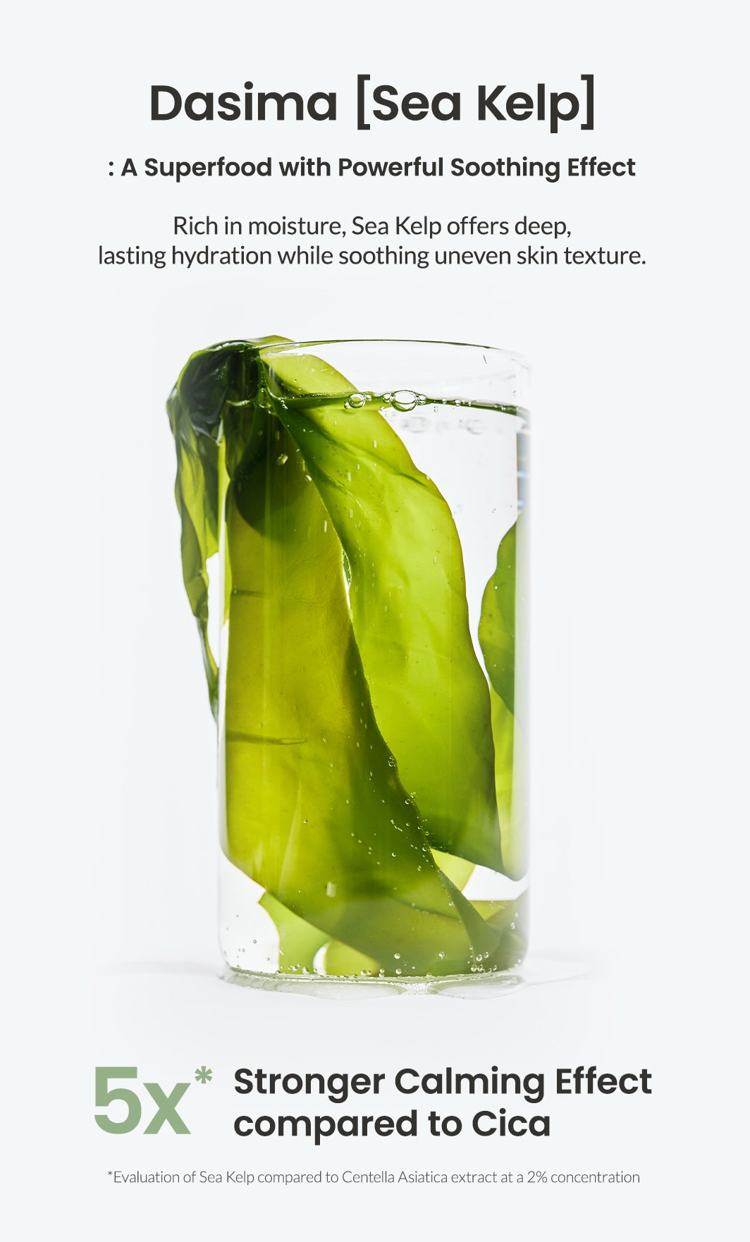 Biodance Sea Kelp Gel Toner Pads