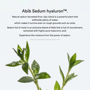 Abib Collagen Gel Mask Sedum Jelly - Olive Kollection