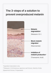 Celimax Pore + Dark Spot Brightening Pad - Olive Kollection