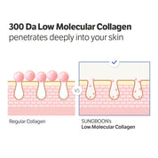 
Sungboon Editor Deep Collagen Serum 7 HA types – niacinamide sodium hyaluronate crosspolymer potassium HA hydrolyzed elastin amino acids NMF