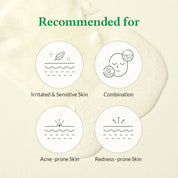 Dr. Althea Cushion Veil Calming Mask Box - Olive Kollection
