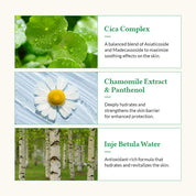 Dr. Althea Cushion Veil Calming Mask Box - Olive Kollection