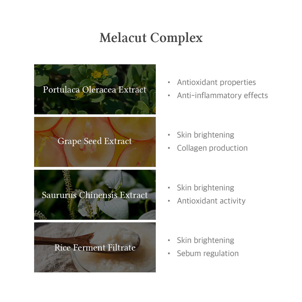 Dr. Althea 15% Niacinamide Purity Serum - Olive Kollection