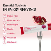 Foodology Cutting Jelly 5g fiber prebiotic carb-conscious daily wellness routine