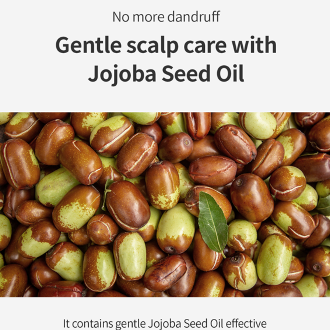Growus Damage Therapy Scalp Ampoule - Olive Kollection