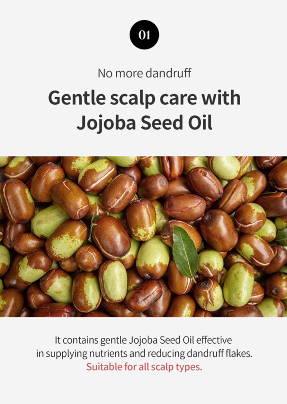 Growus Damage Therapy Scalp Ampoule - Olive Kollection