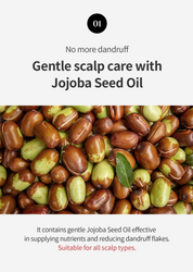 Growus Damage Therapy Scalp Ampoule - Olive Kollection