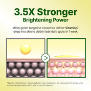 Goodal Vita C Dark Spot Cream texture – lightweight water-cream instant absorption no greasiness sensitive skin tested Korean