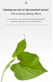 Goodal Heartleaf Calming Cooling Sun Stick *Limited Time Deal*