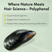 Grabity Shampoo Strong ingredients – Biotin Keratin Salicylic Acid Niacinamide Menthol SCI gentle surfactants Korean haircare