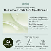 Growus Algae Therapy Mineral No Wash Treatment 150 ml - Olive Kollection