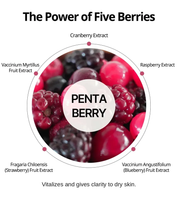 Heveblue Penta Berry Panthenol Repair Peel Pad