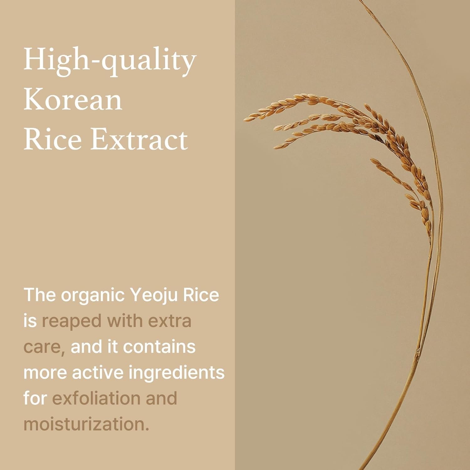 I'm From Rice Sheet Mask on face – apply after toner 15-20 min remove pat essence fragrance-free Korean sheet mask brightening hydrating