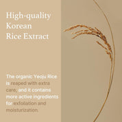 I'm From Rice Sheet Mask on face – apply after toner 15-20 min remove pat essence fragrance-free Korean sheet mask brightening hydrating