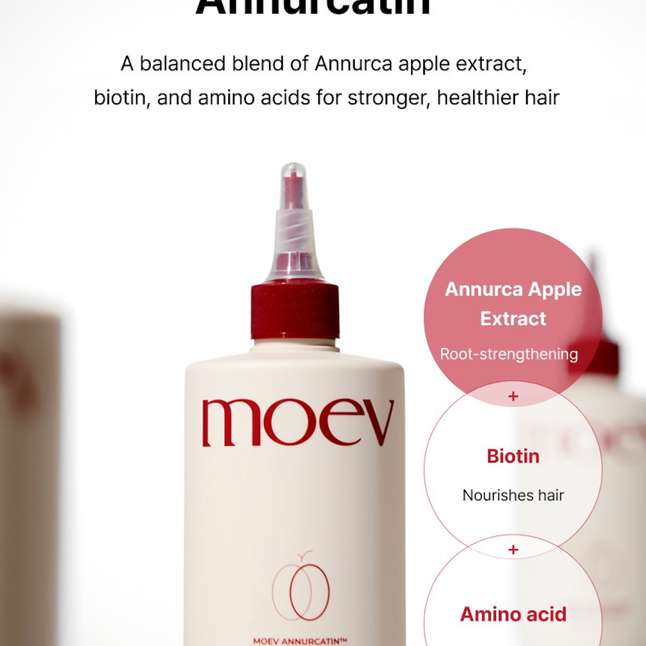 MOEV_Annurcatin_Water_Treatment_5.png