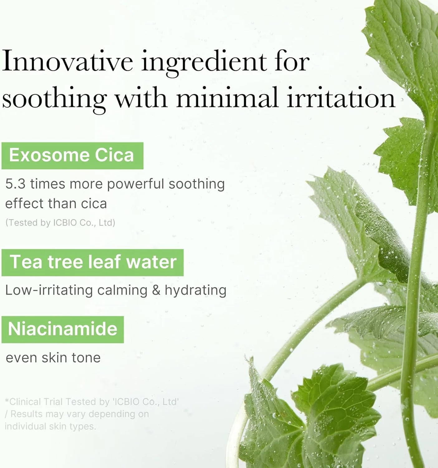 Medicube Exosome Cica Calming Pad - Olive Kollection