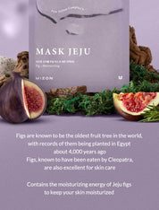 Mizon Joyful Time Mask Jeju Fig Extract – moisturize balance oily dry skin Opuntia Ficus-Indica Cactus Flower Moroccan antioxidant soothe