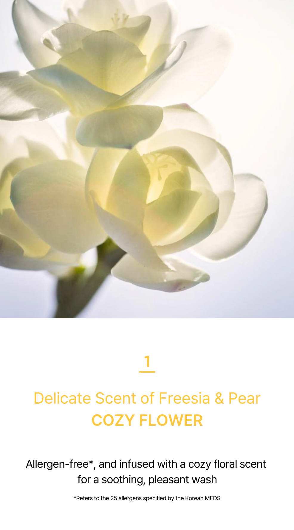 Nesh Soy Biome 2-Step Clinic Hair Mask (4 pcs)