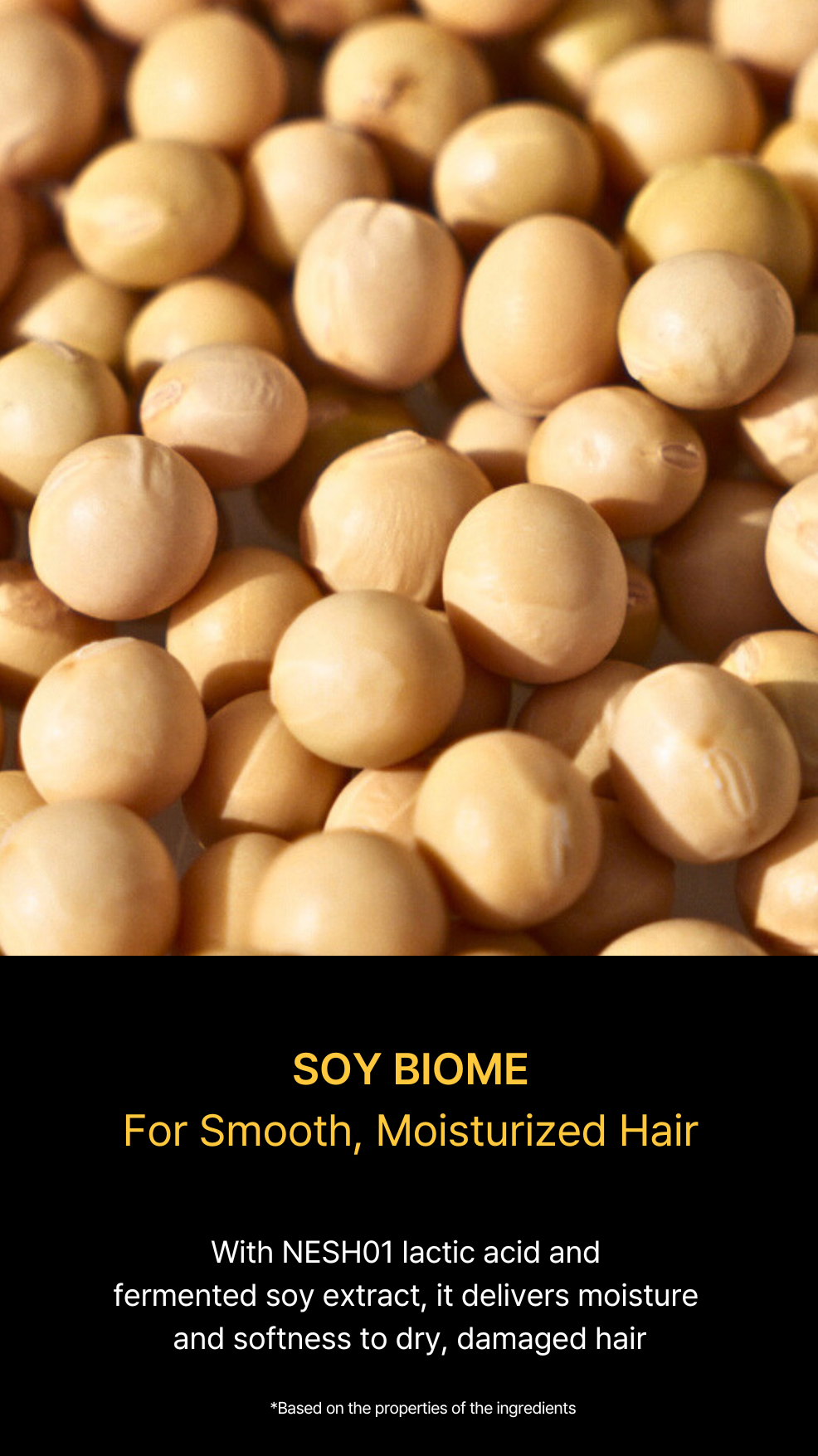 Nesh Soy Biome 2-Step Clinic Hair Mask (4 pcs)