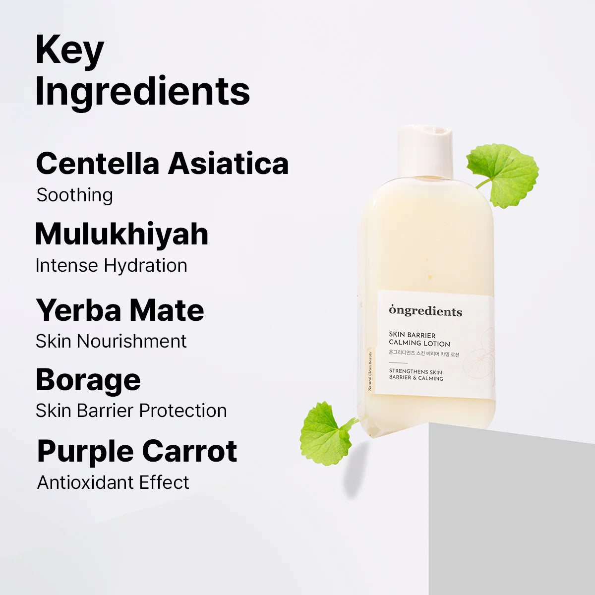 Ongredients Centella Asiatica Skin Barrier Calming Lotion - Olive Kollection