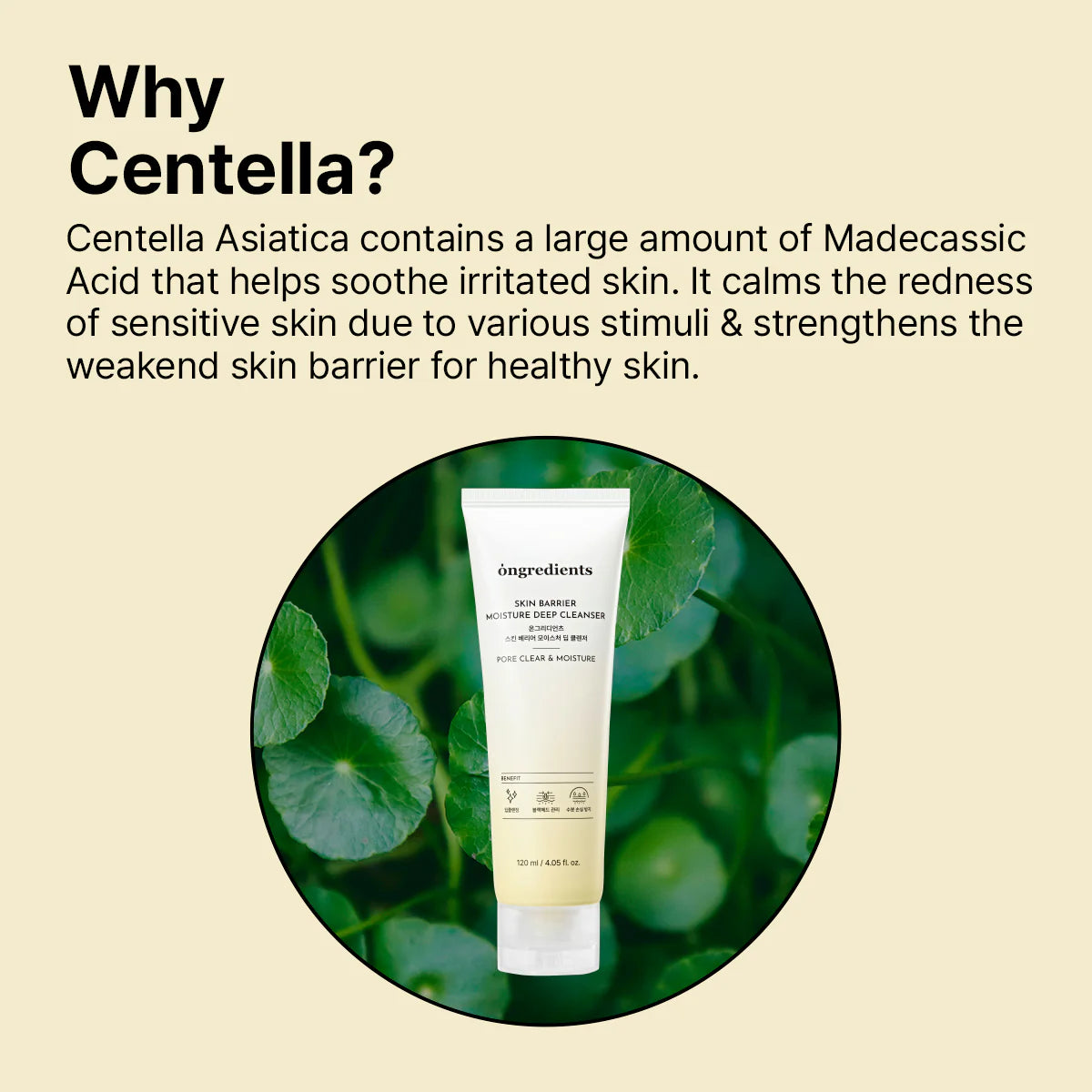 Ongredients Moisture Deep Cleanser - Olive Kollection